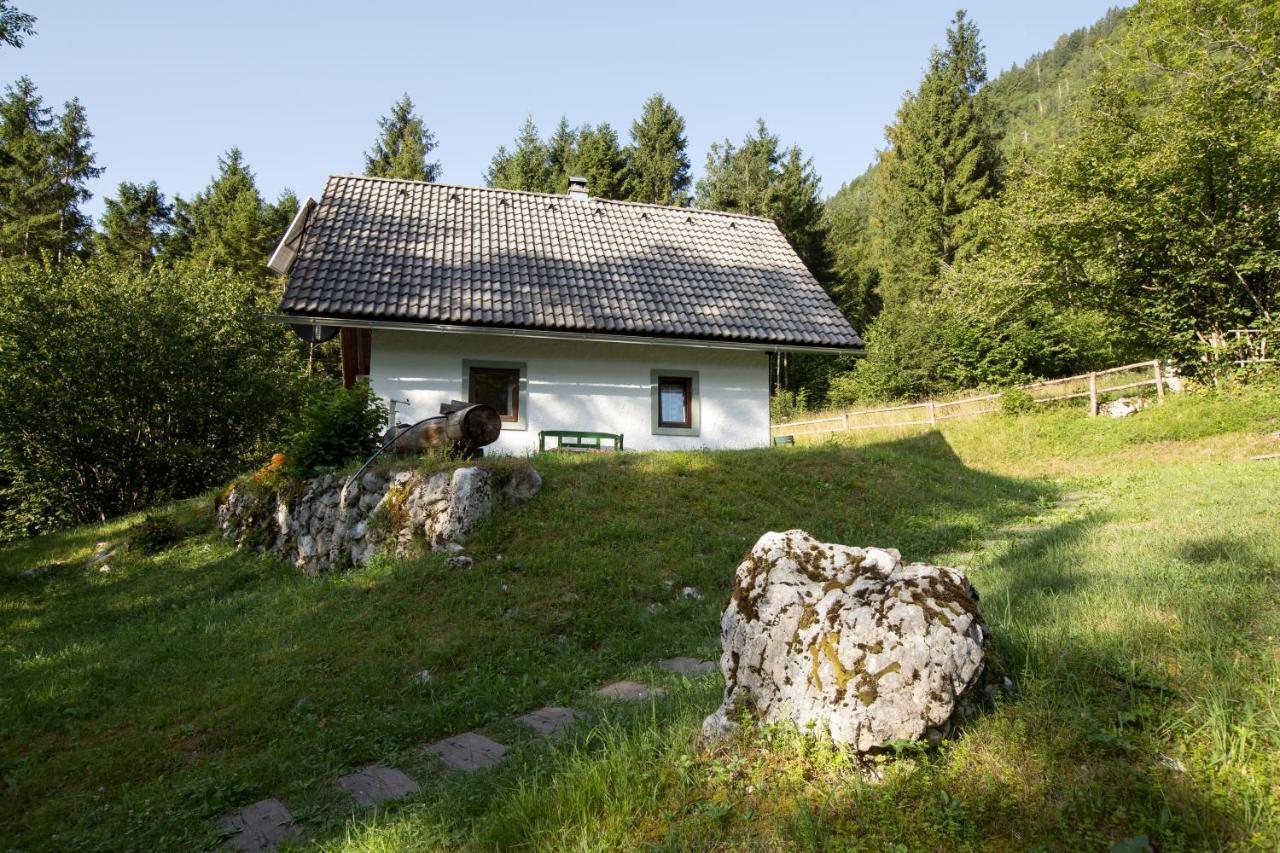 בוהין Holiday Home Voje מראה חיצוני תמונה
