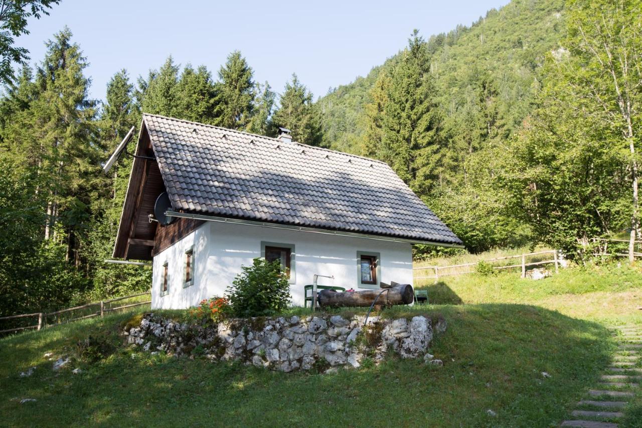 בוהין Holiday Home Voje מראה חיצוני תמונה